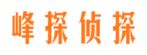 蓬江市婚外情取证